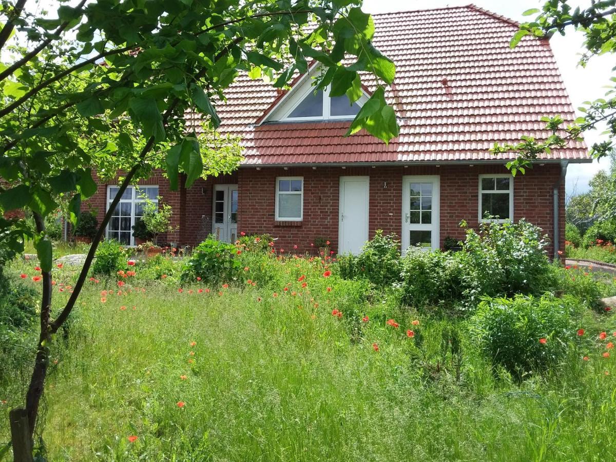 Haus Rosengarten- Ruhige Ferienwohnungen Im Gruenen Sehlen Exterior photo